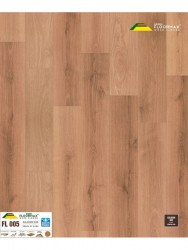 Sàn gỗ GREEN FLOORMAX 8ly FL005